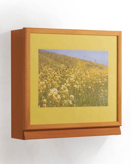 ����ˡ����� �饤��