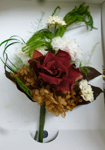 �ץꥶ���֥ɥե���ʩ��