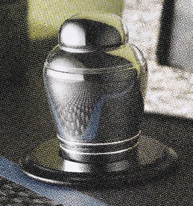 ������ץ��ݥå� ����ץ����󡡽��